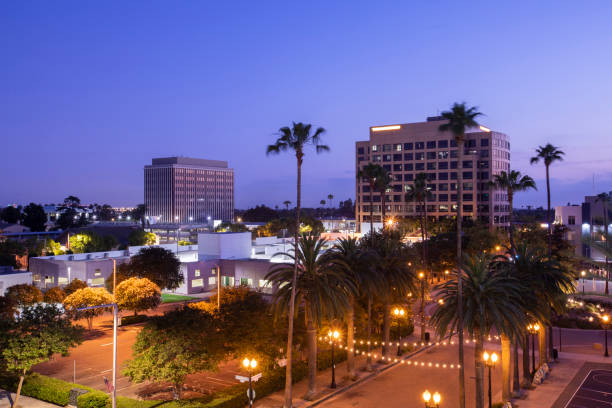 Twilight palm tree framing the skyline of downtown Anaheim, California, USA.